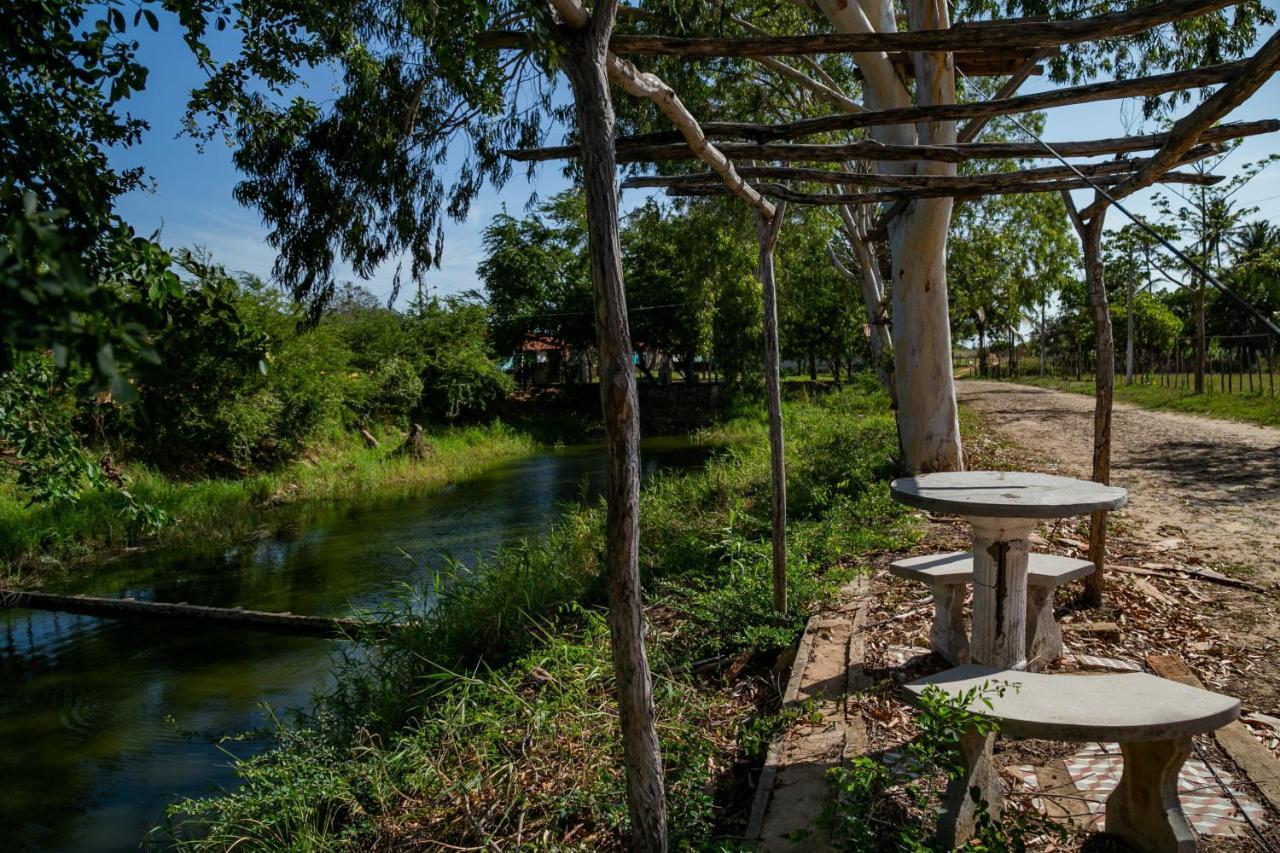 Três Lagoas Luis Correia